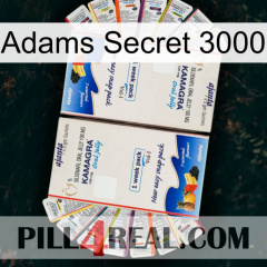 Adams Secret 3000 kamagra1